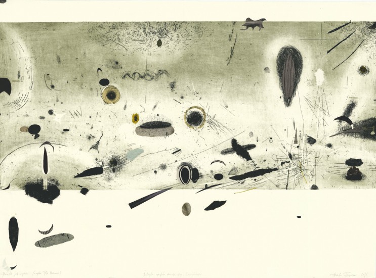 Microcosmos | Intaglio chinecolle collage | 100x70cm | 2017